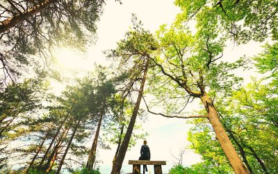 Skeptics Can Meditate Too