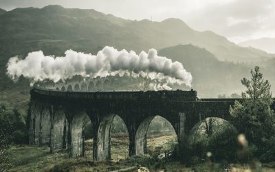 What Harry Potter’s Grindlylows Can Teach You About Leadership and Moving Past Uncertainty