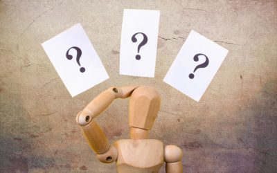 Want Your Business to Thrive? Answer These 3 Questions.