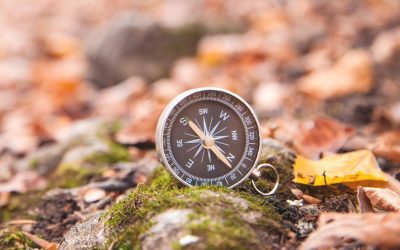 Need Help Creating a Business Strategy for the New Year?