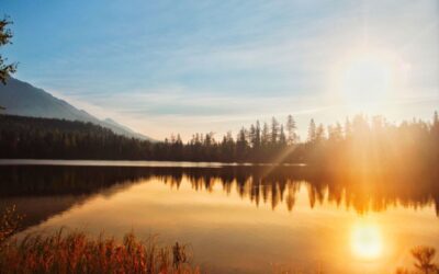 Letting Go to Move Forward: Insights from an Omaha Business Coach